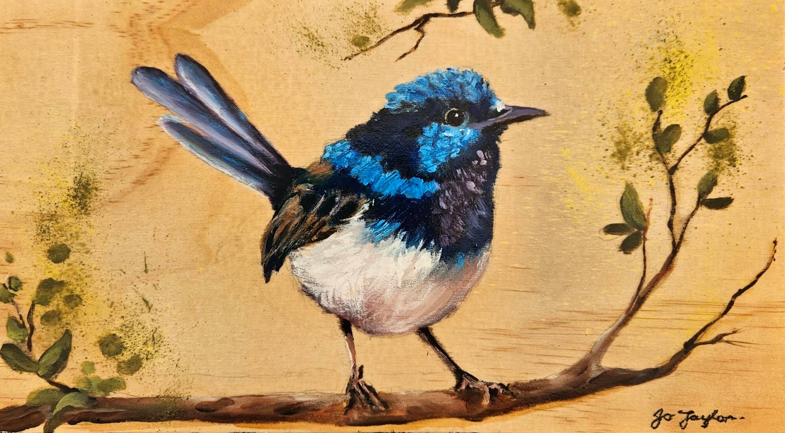 Superb Fairy Wren (Edit)