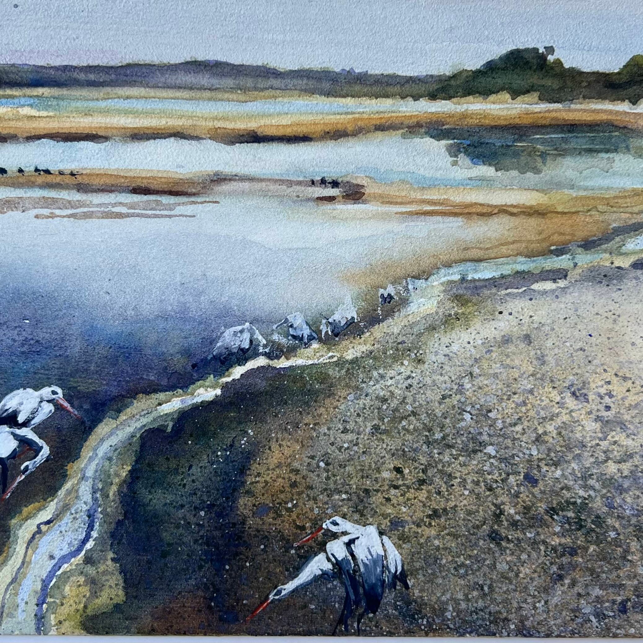 Egrets, Shorelines, Lake Tyers.