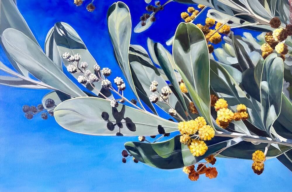 New Wattle 2023 Acrylic on thick edge Canvas 61 x 91.4 cm Image courtesy of Celia Moriarty small fil