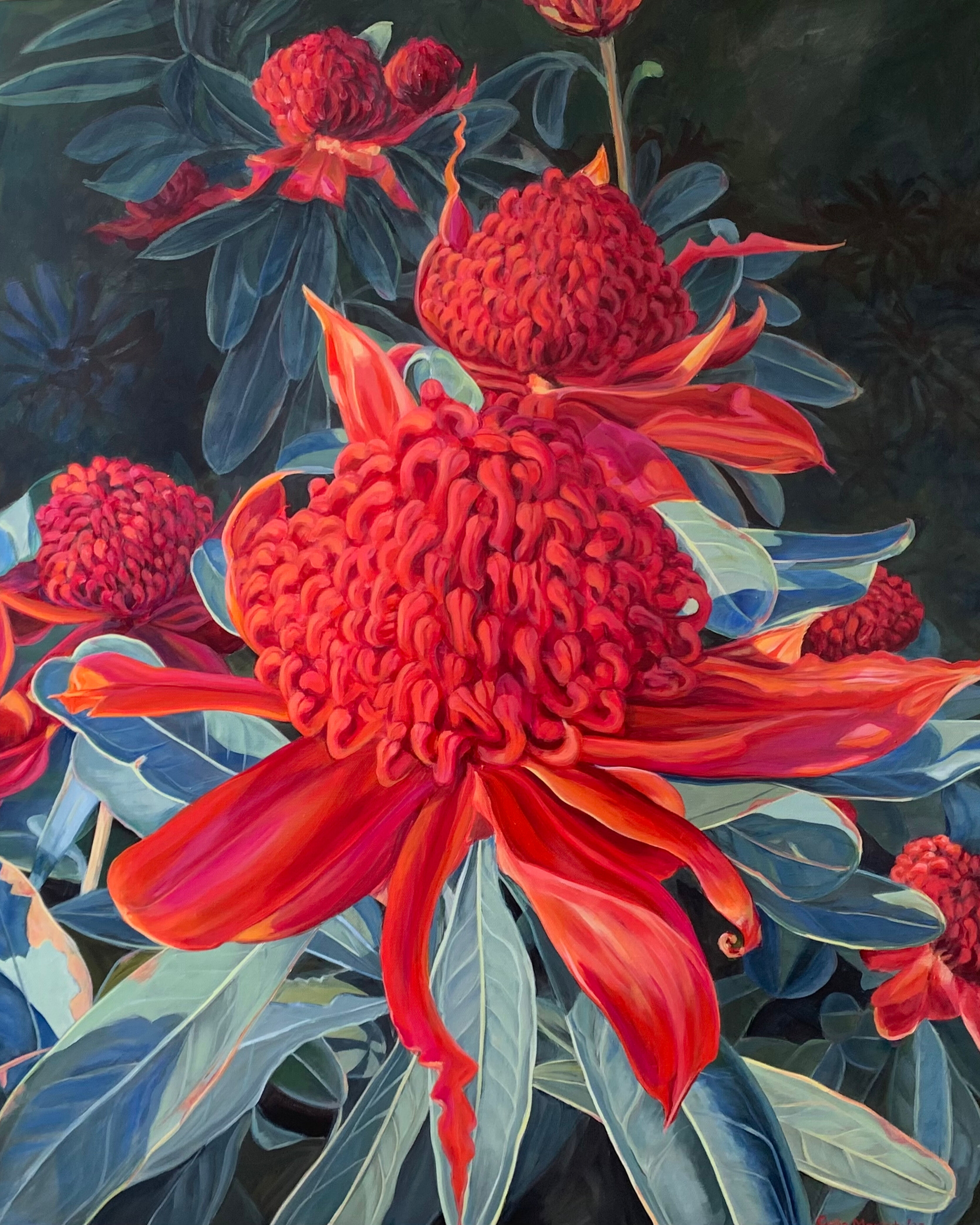 Waratah in the Front Yard 2022 Acrylic on canvas 91.4 x 76.2 cm Image courstesy of Celia Moriarty - Celia Moriarty