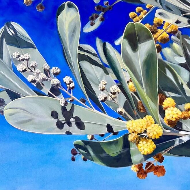 New Wattle 2023 Acrylic on thick edge Canvas 61 x 91.4 cm Image courtesy of Celia Moriarty small fil