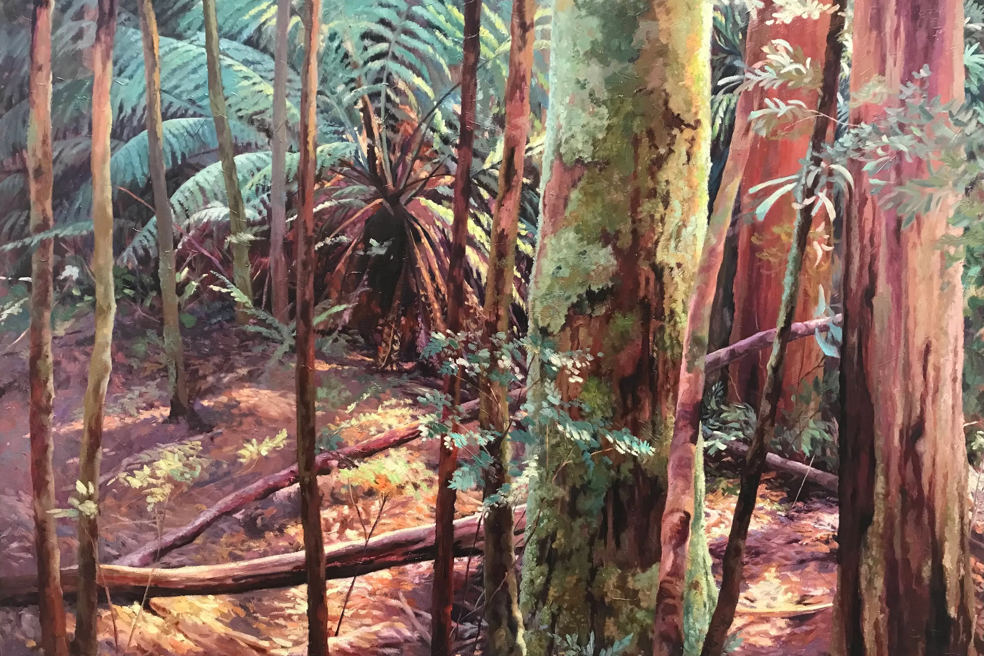 Winner_Gwendoline Krumins VAS, The Tarkine, Tasmania, Oil