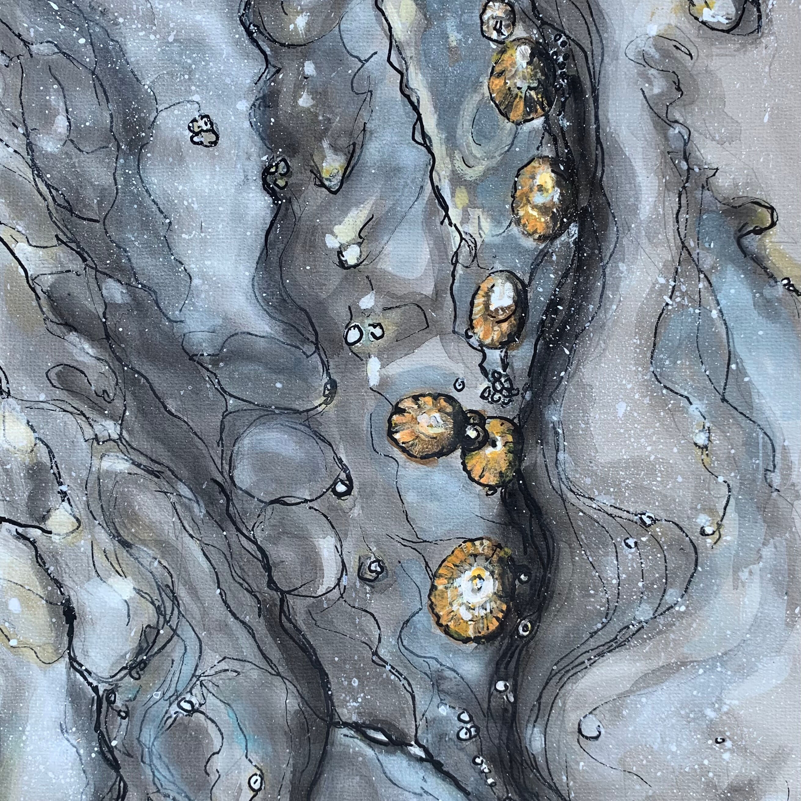 29_Hans Van Weerd_Limpets and Barnacles waiting for the Tide_Ink, watercolour and gouache