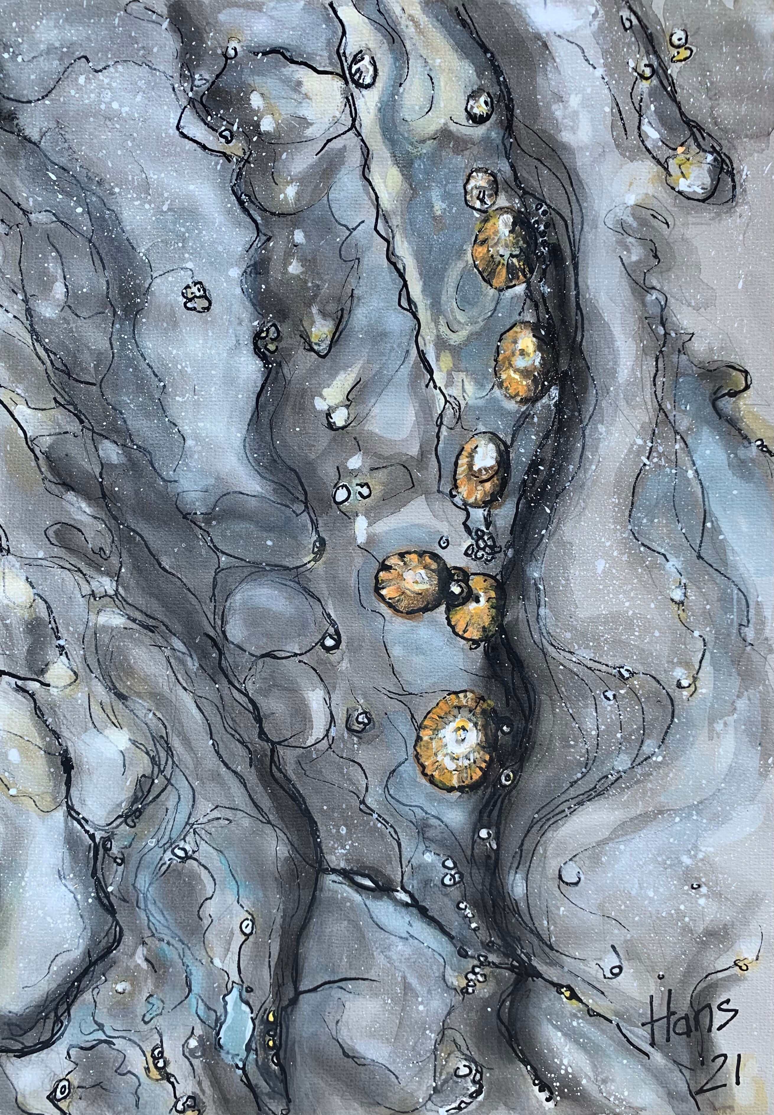 29_Hans Van Weerd_Limpets and Barnacles waiting for the Tide_Ink, watercolour and gouache
