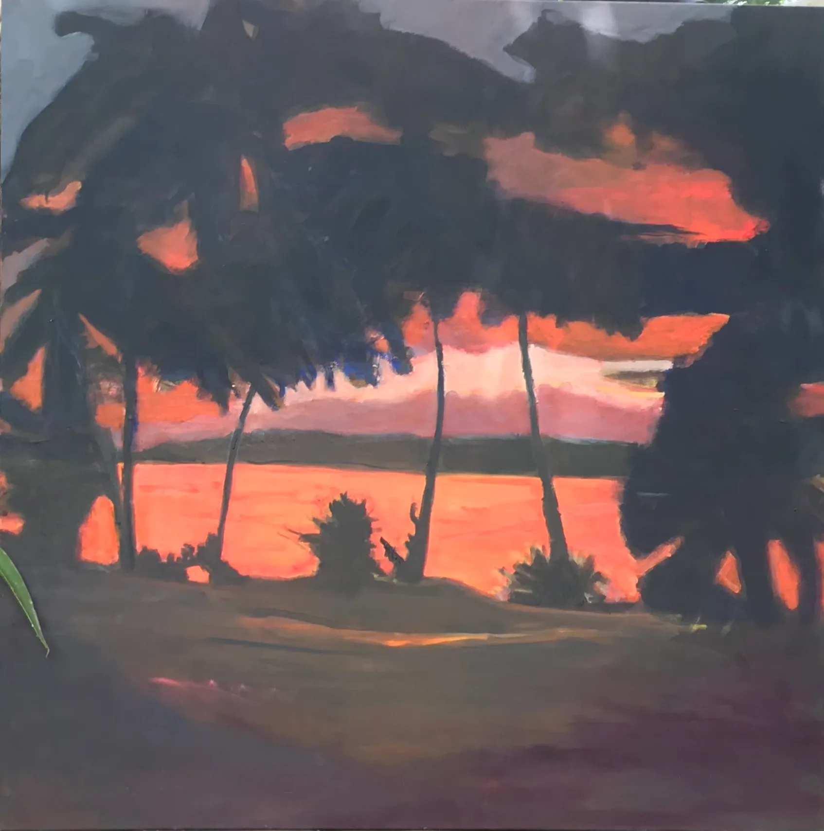 NATHAN_MOSHINSKY_TROPICAL_SUNSET_