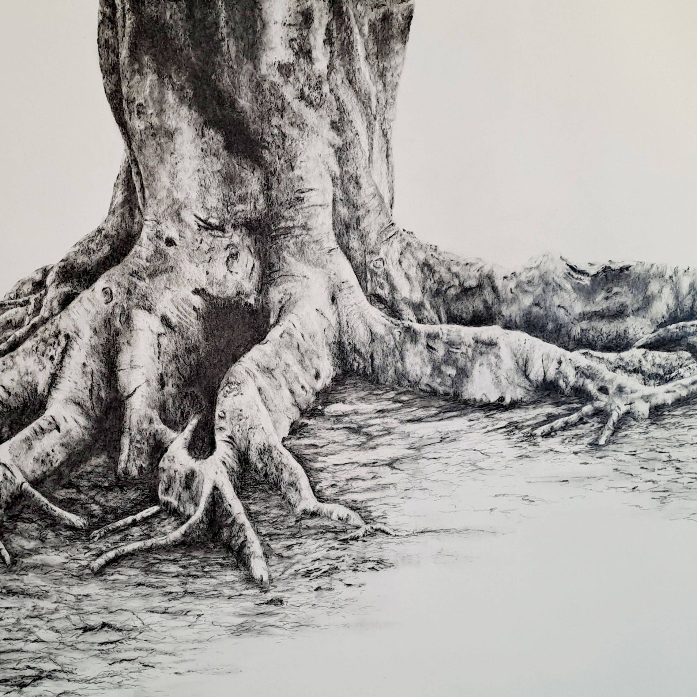tree roots.jpg