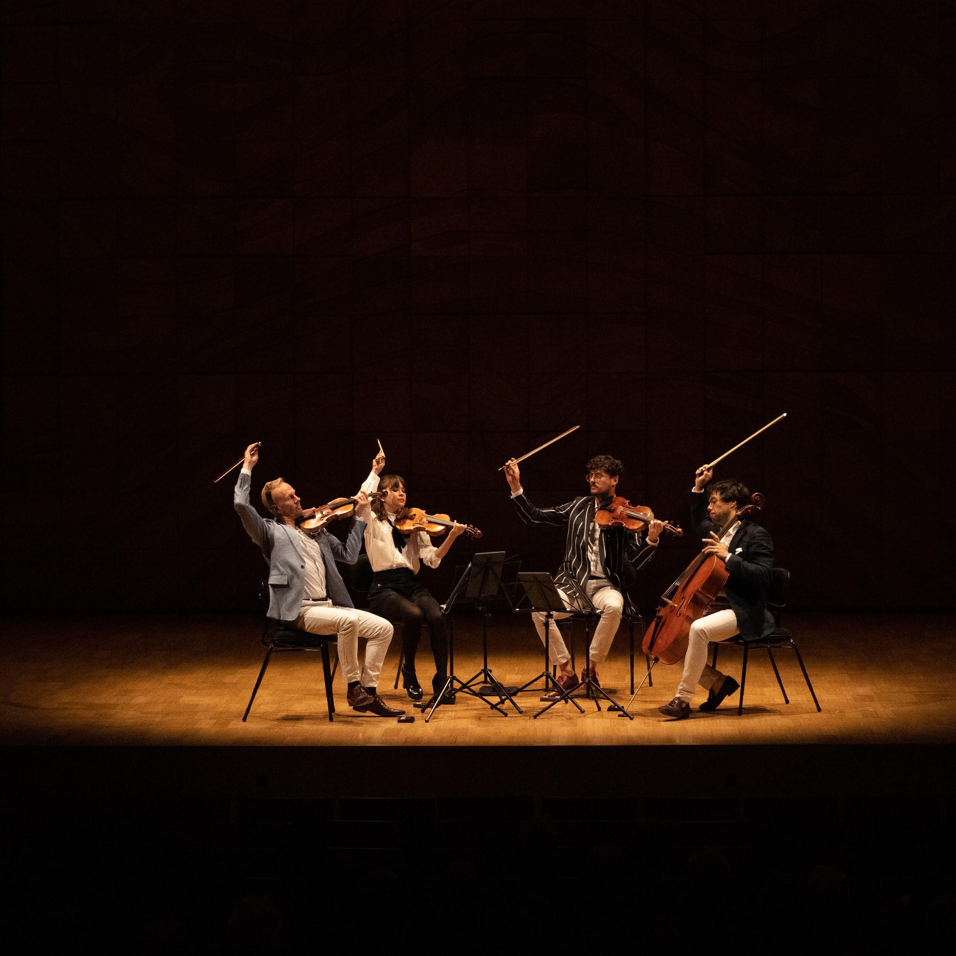 String Quartet Image 2