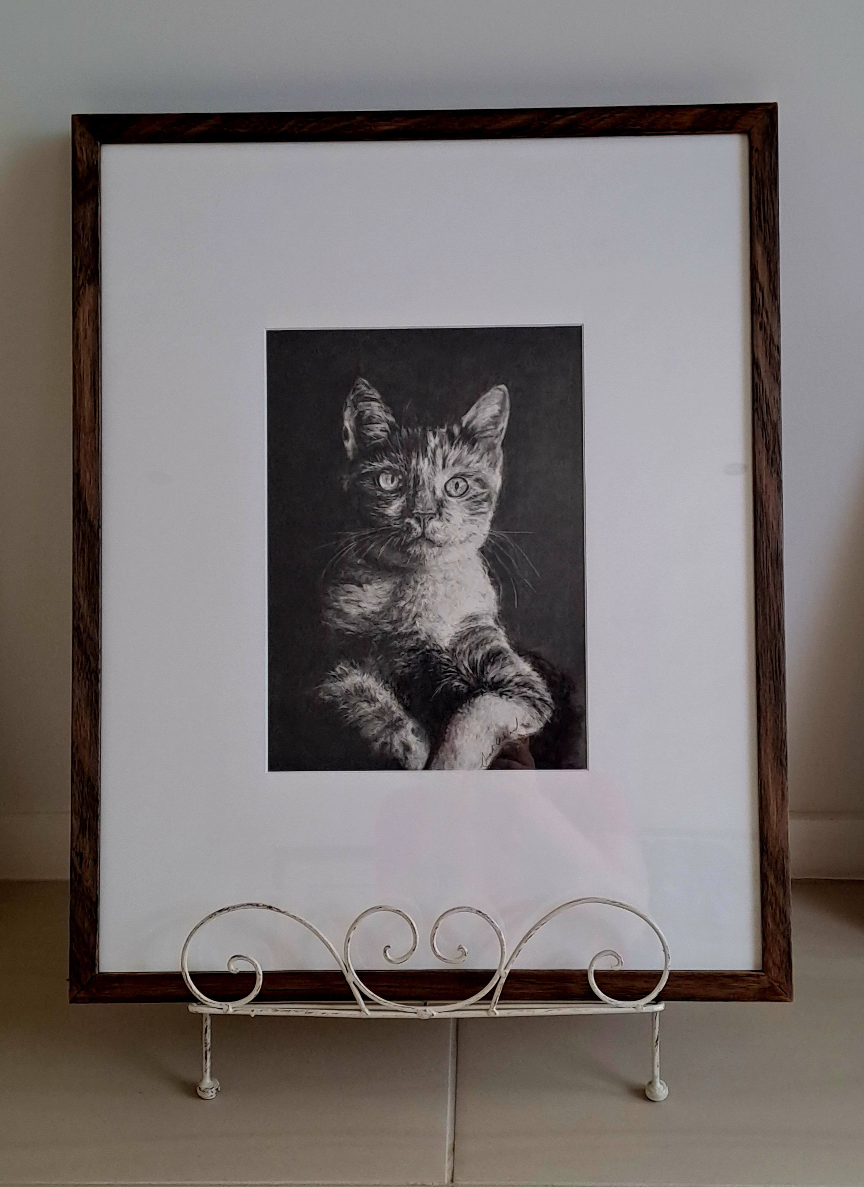 study of a cat framed.jpg
