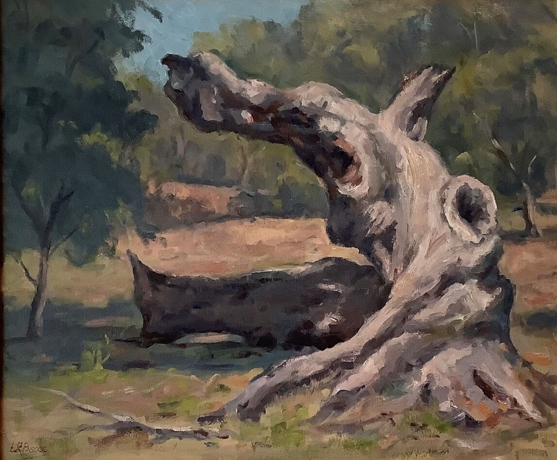 Grand Old Stump, Oil On Canvas Board, w73xh63