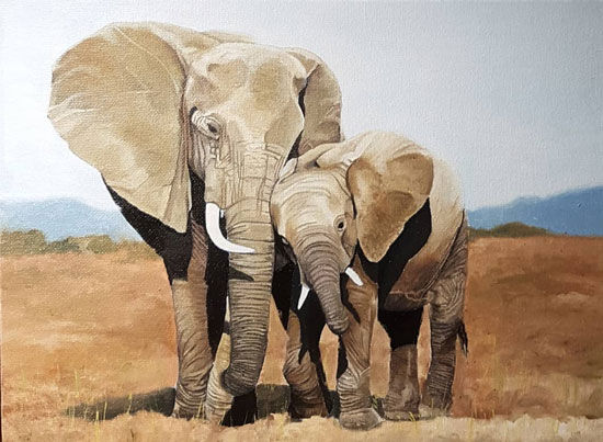 550-Sam-Elephants