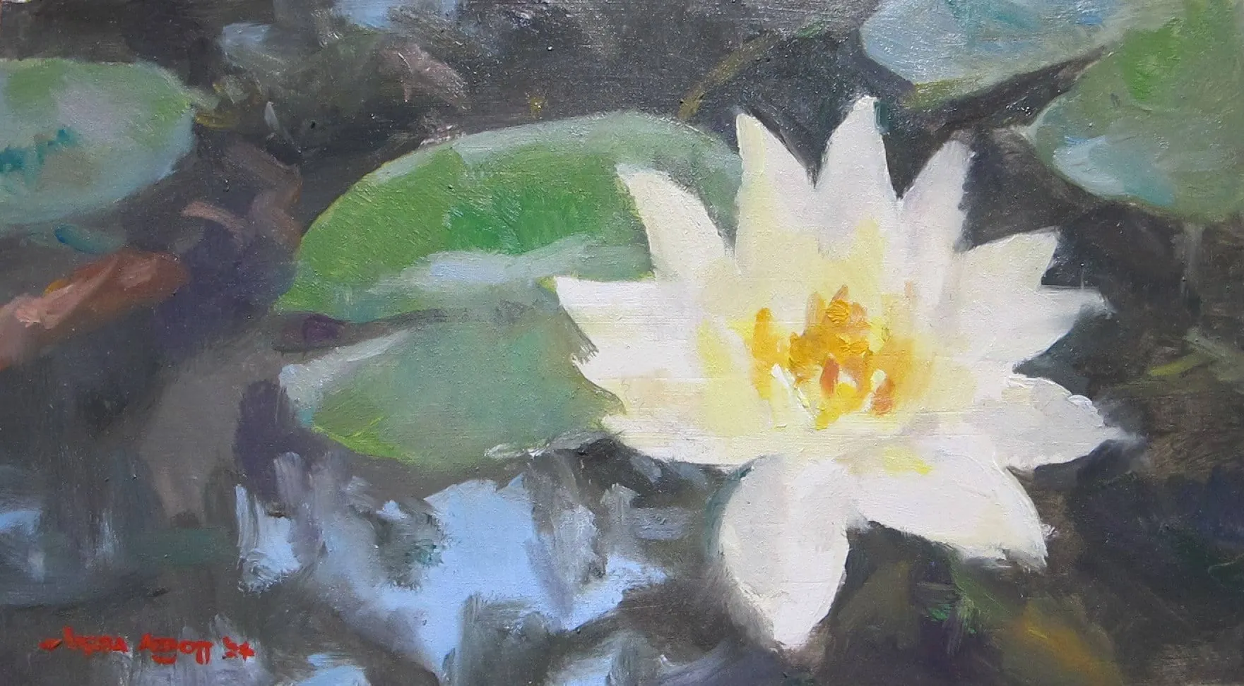 Waterlily