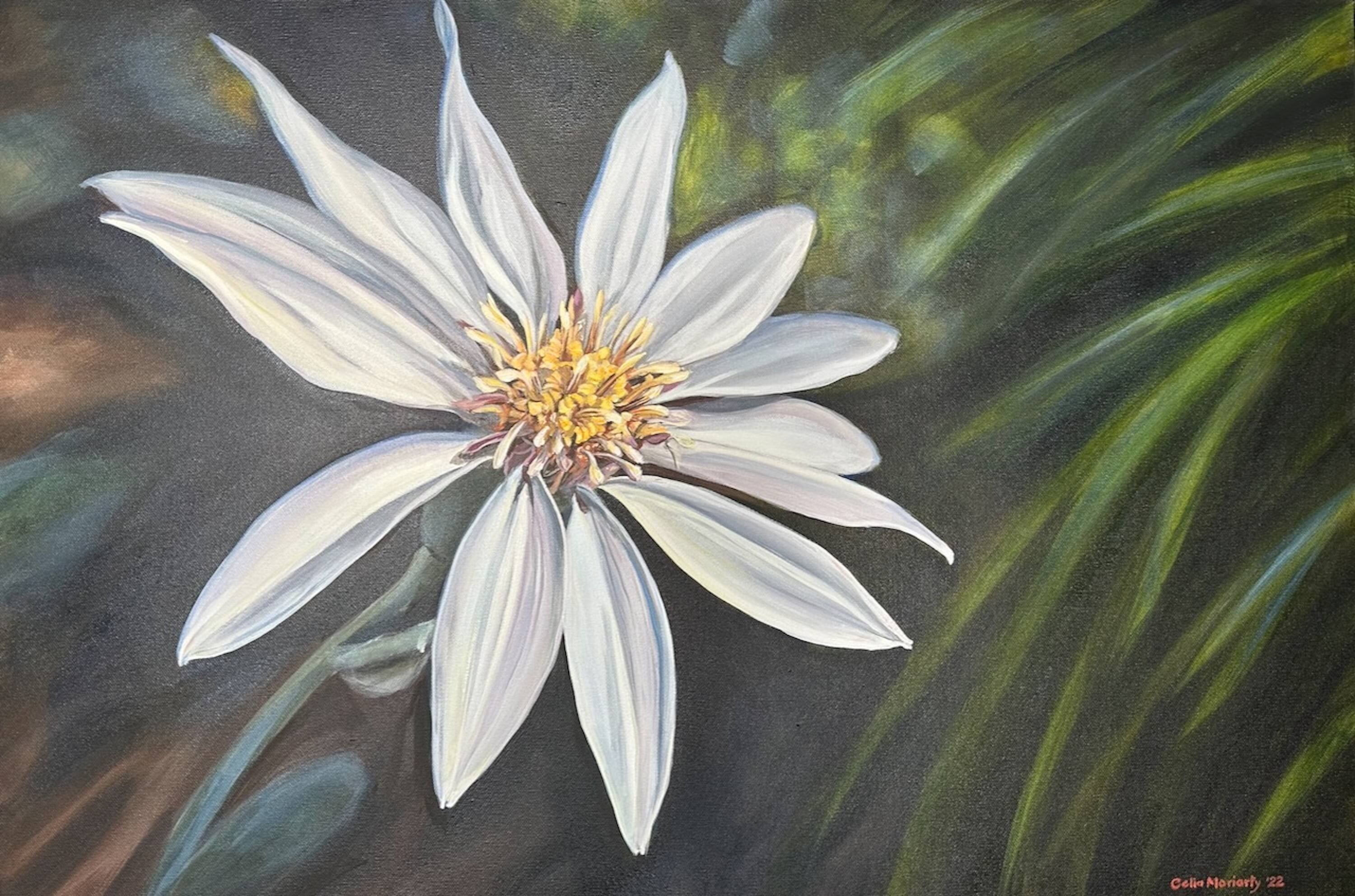 Not Just a Daisy 2022 Acrylic on thick edge canvas 61 x 91.4 cm Image courtesy of Celia Moriarty.jpe