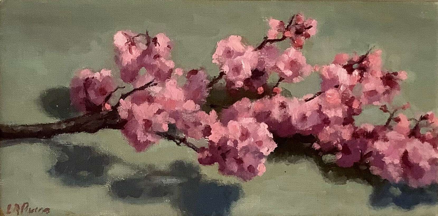 Pink Blossom, Oil On Canvas, w52xh33