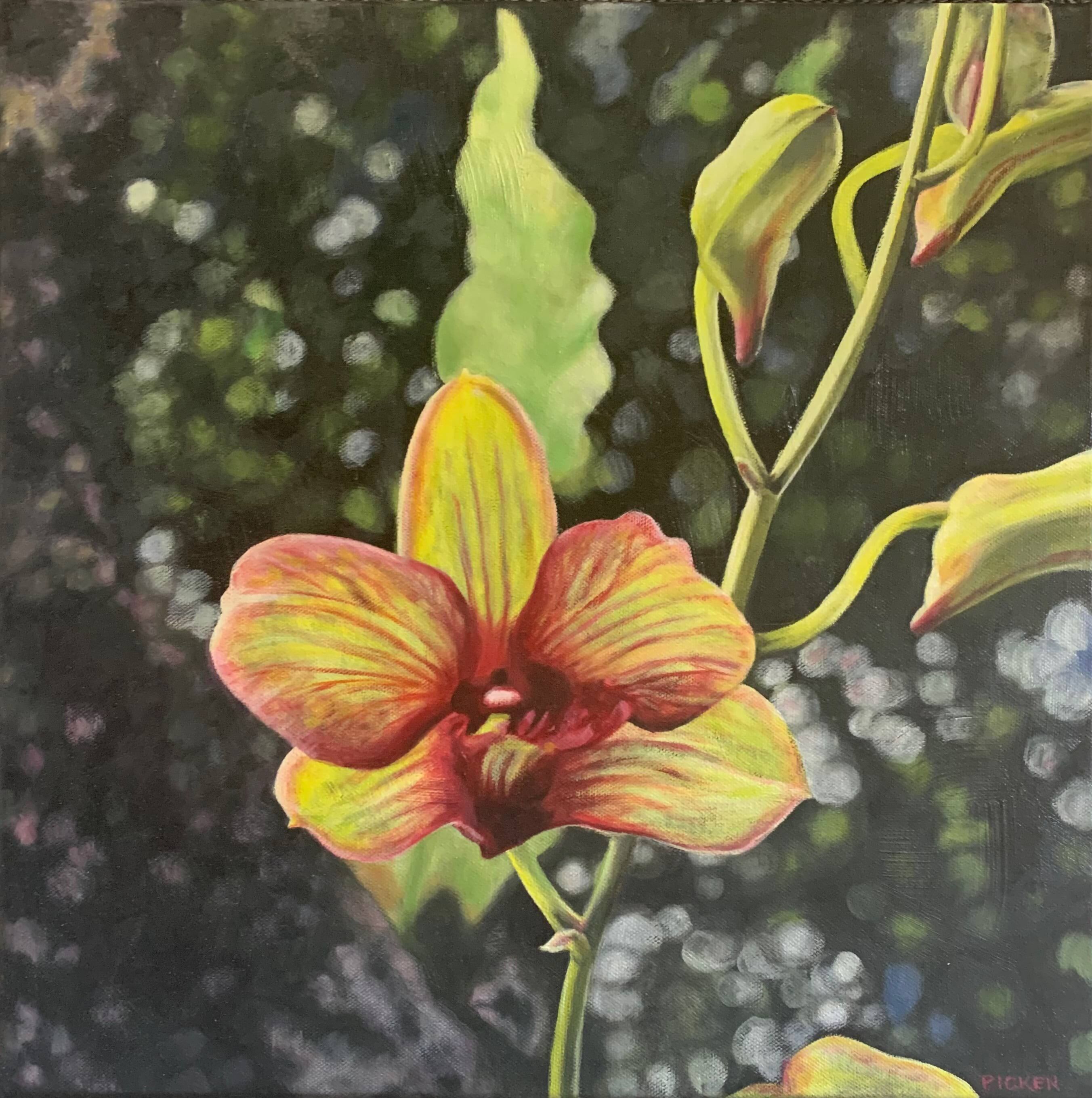 'Garden Orchid - Jakarta' 40 x 40cms Oil on stretched canvas Margaret Picken.jpeg