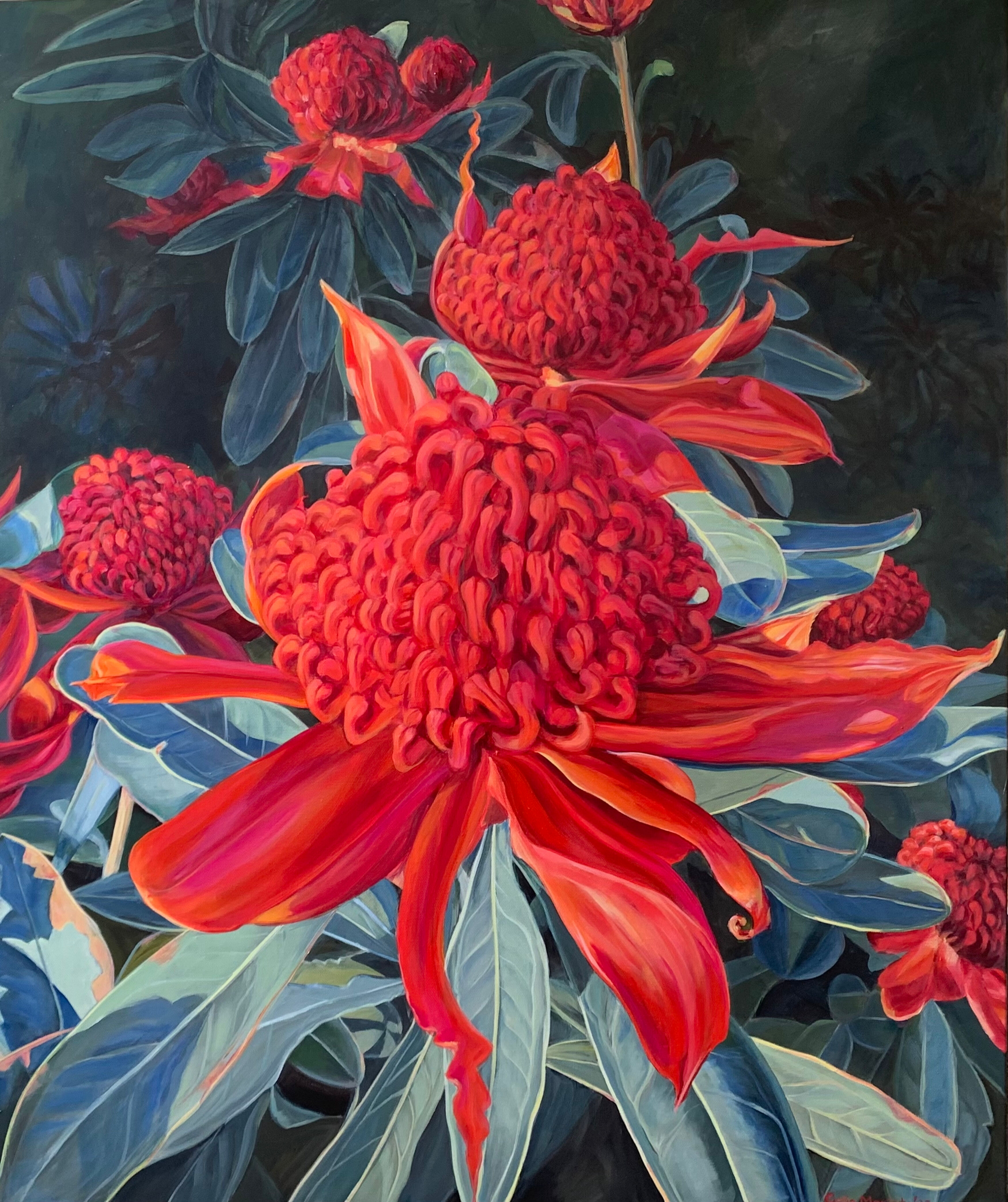Waratah in the Front Yard 2022 Acrylic on canvas 91.4 x 76.2 cm Image courstesy of Celia Moriarty - Celia Moriarty