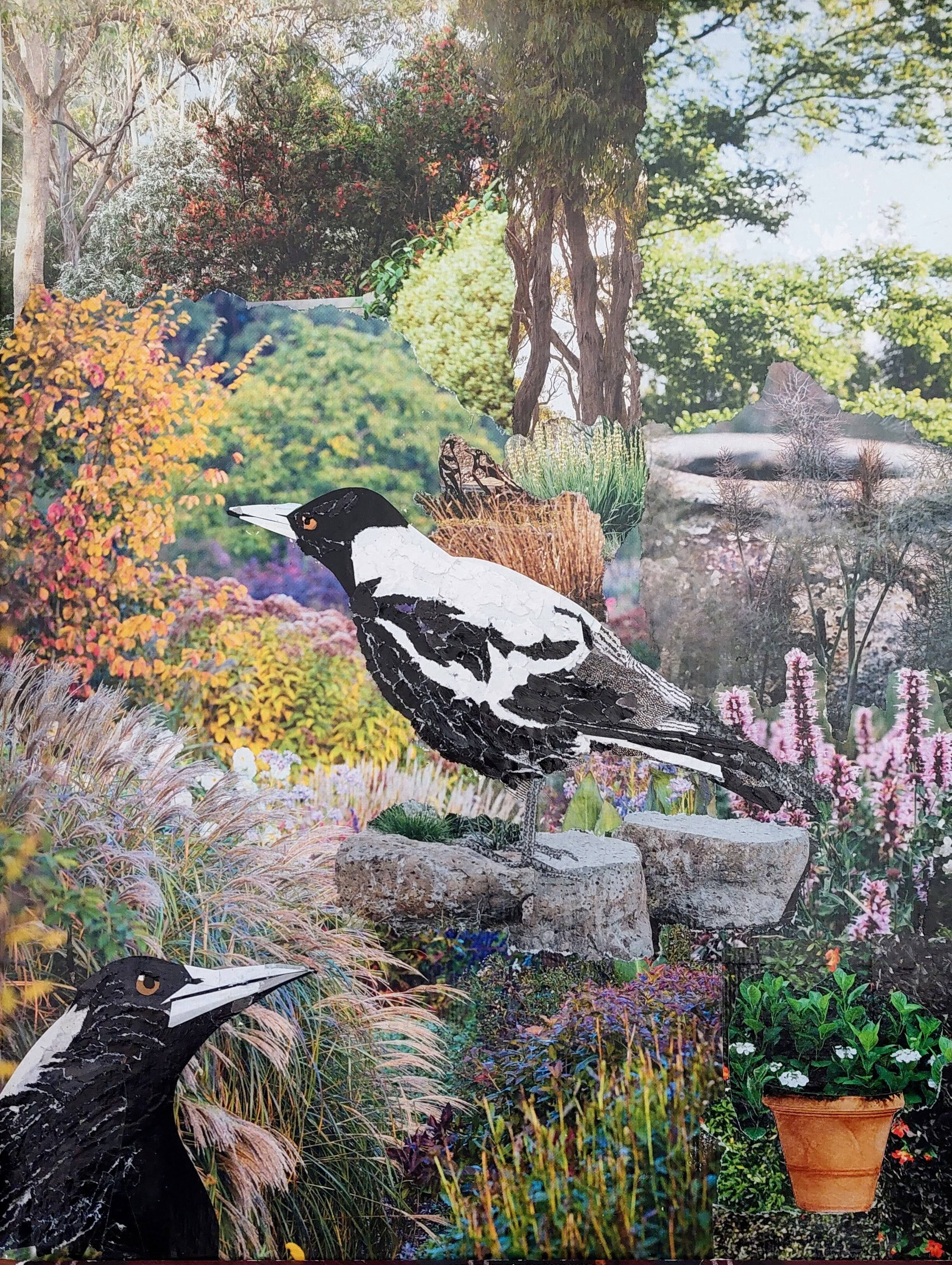 Magpies at the window Gallery Image
