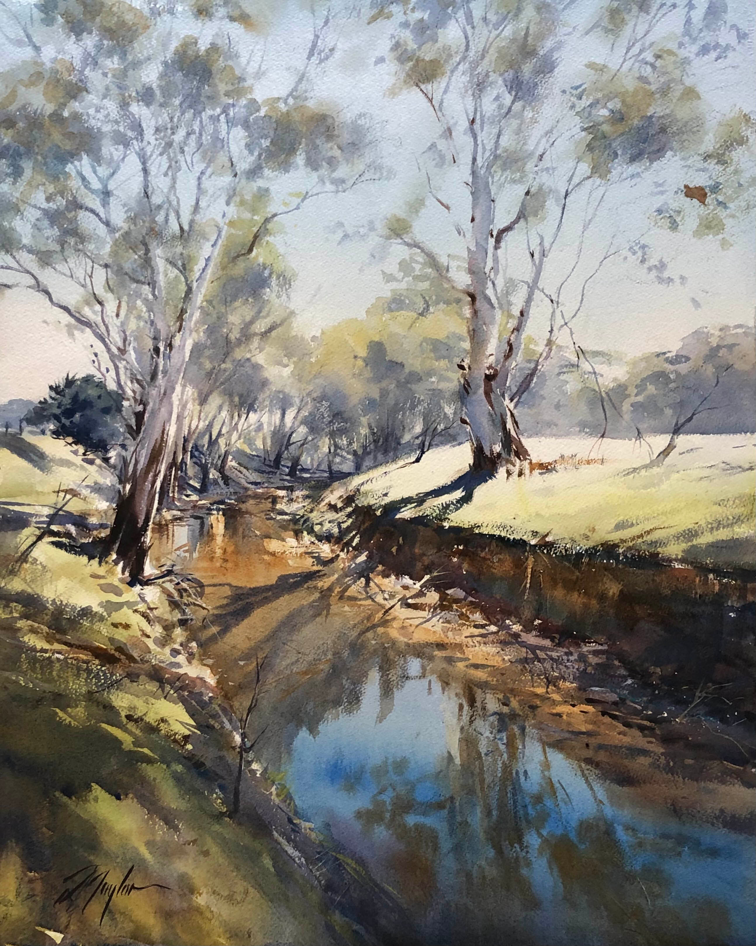 Sun after Frost Bang bang creek By David Taylor A.W.I.F.V.A.S Size 99 cm x 82 cm $4,000