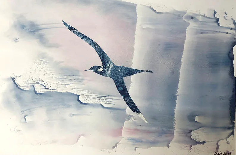 28. AlbatrossStudy2_EWagner