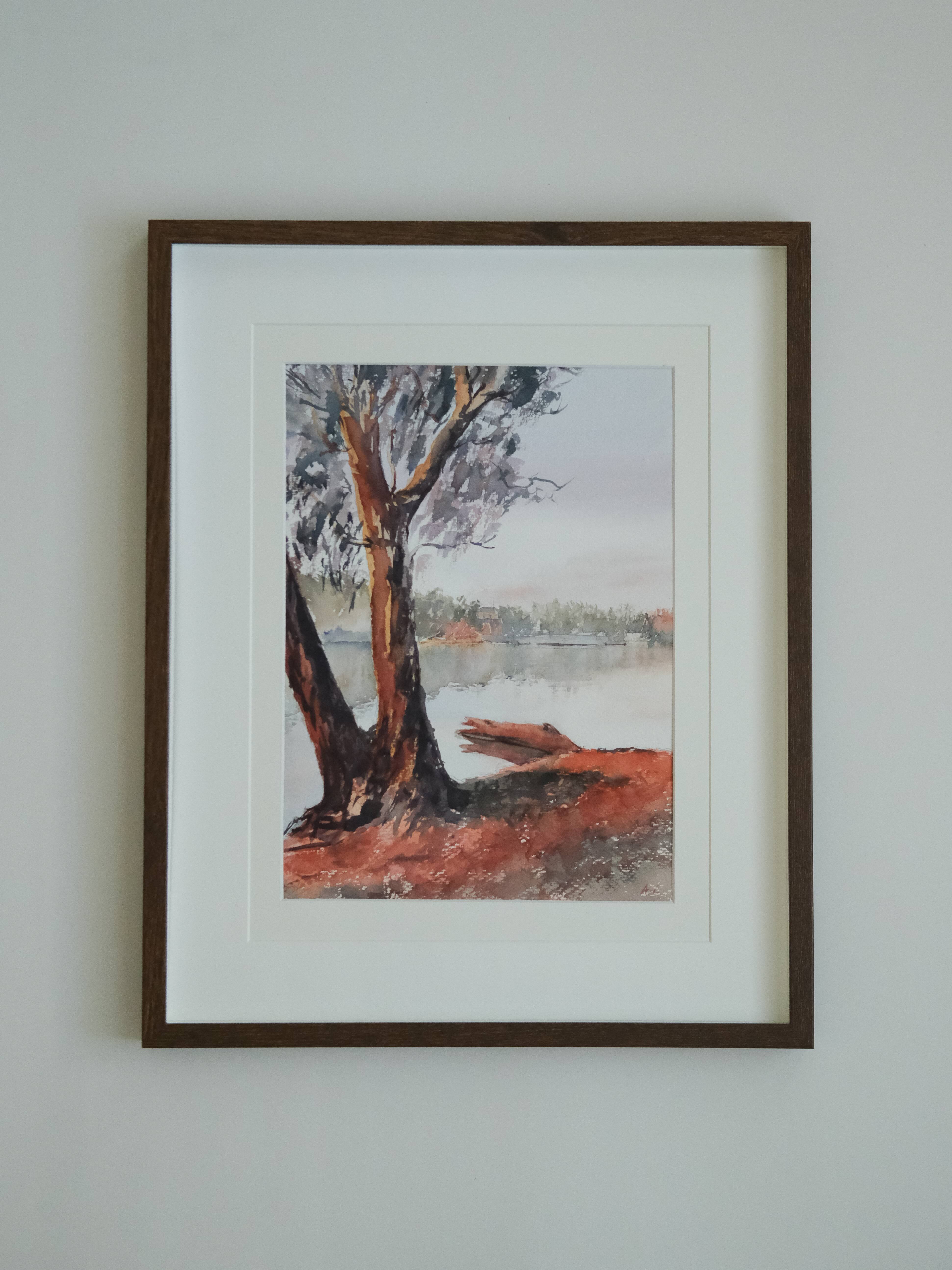 Eucalyptus by the Murray River during Sunset Gallery Image
