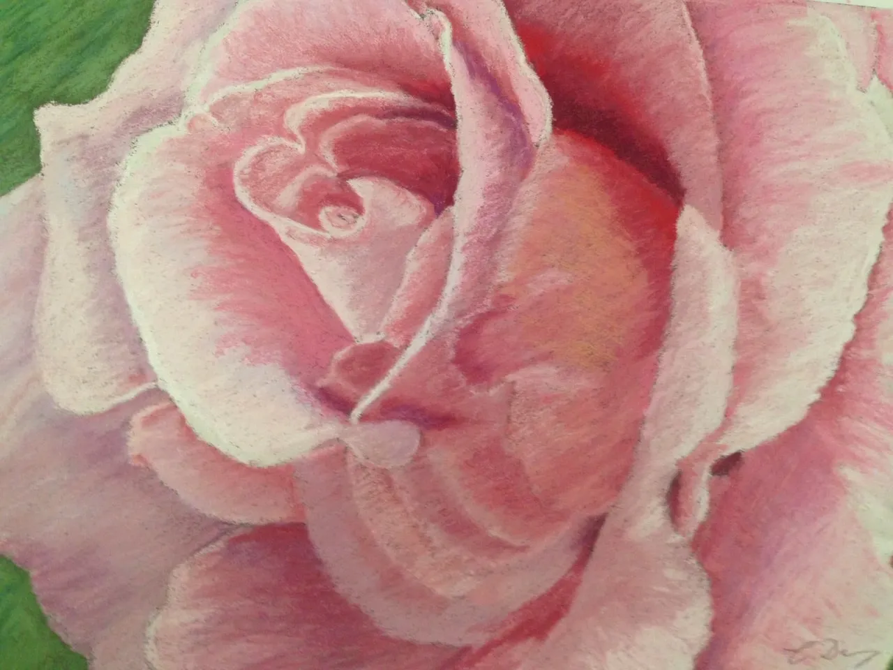 38A_Christine Denny_Pink Splendour_Pastel