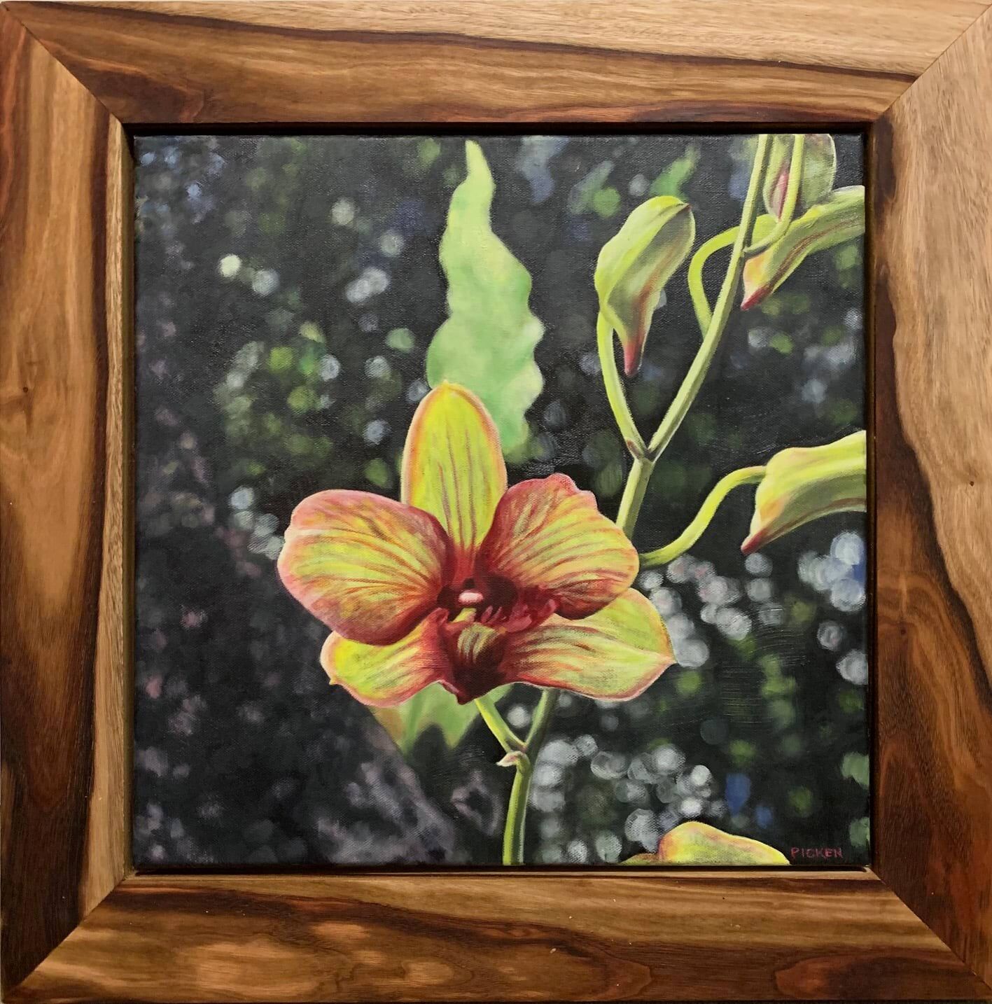 Garden orchid - Jakarta Oil on stretched canvas 40 x 40cms Framed Margaret Picken.jpeg
