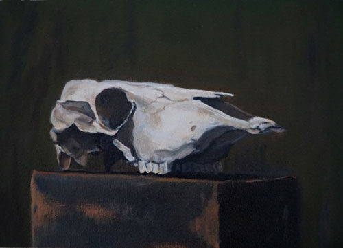 500-AComisso-Skull image