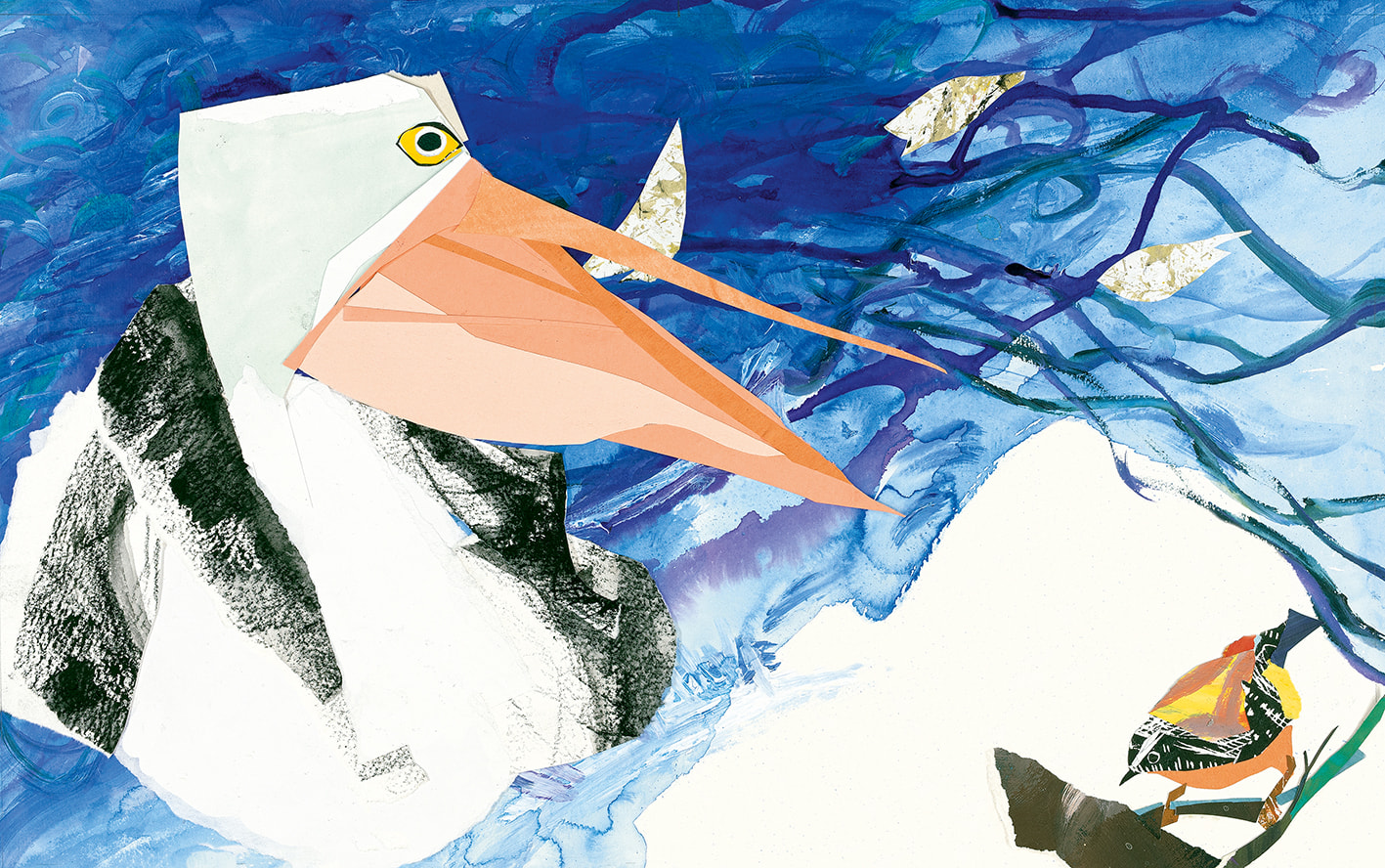 Hope is a pelican patrolling for scraps