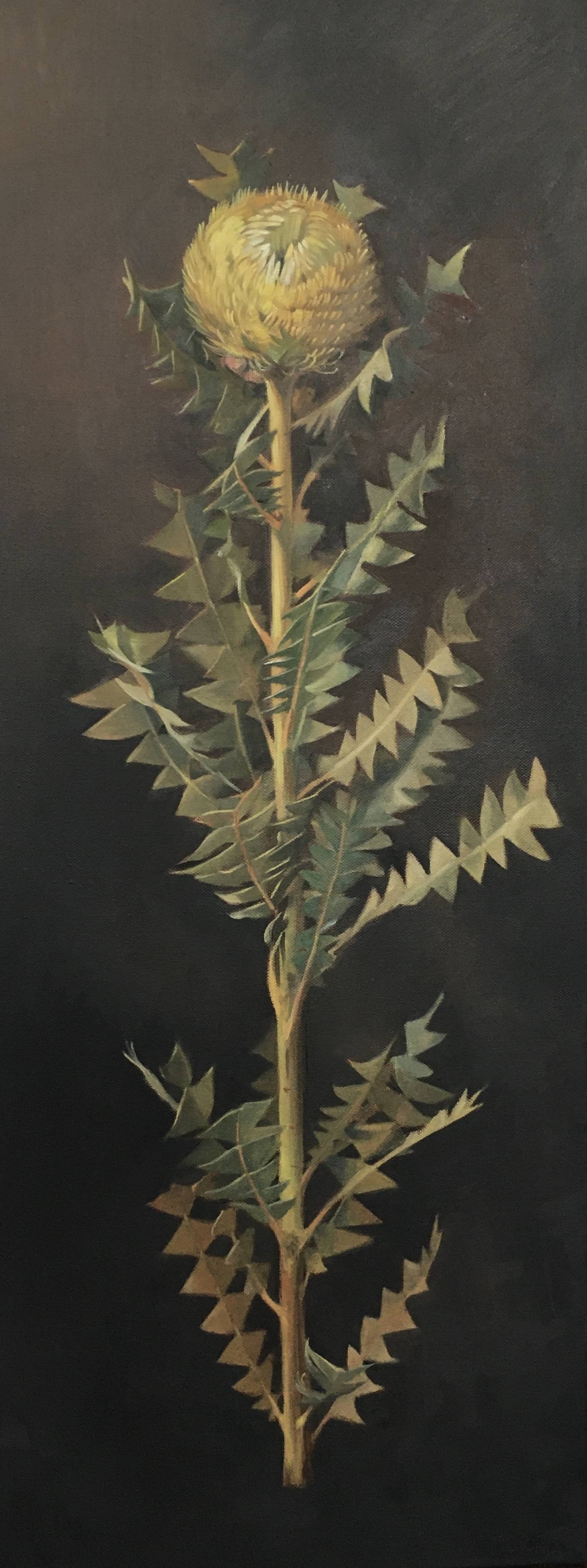 Bush Botanical