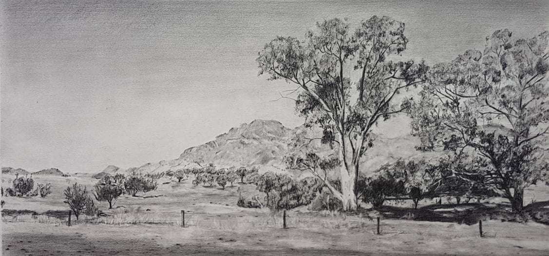 Near Flinders Ranges