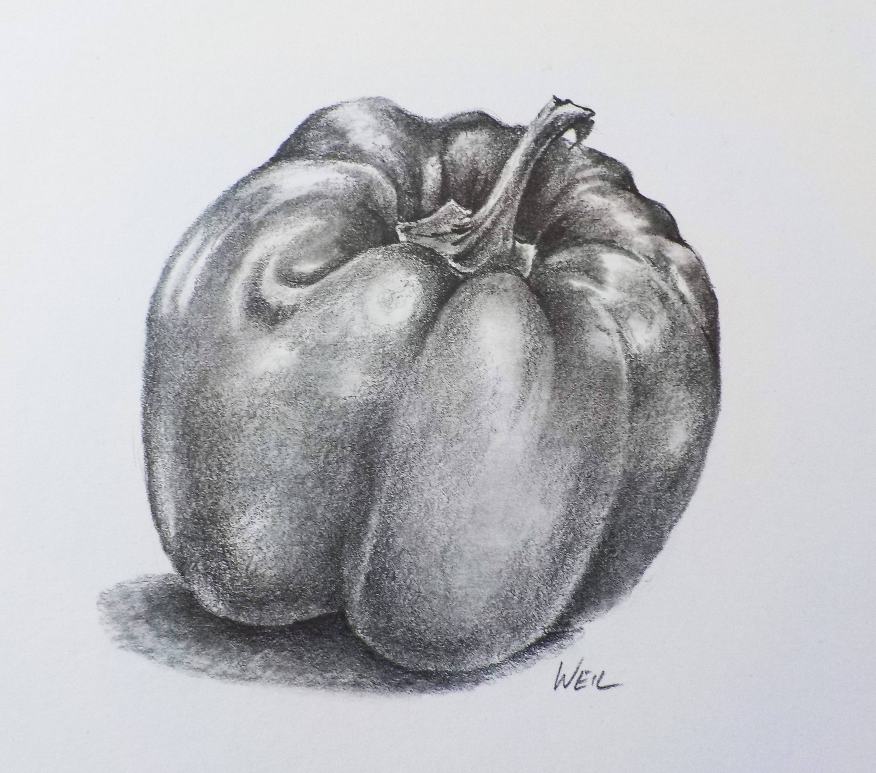Capsicum Study