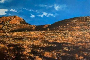 Marg Picken Mount Bruce W.A. 2021