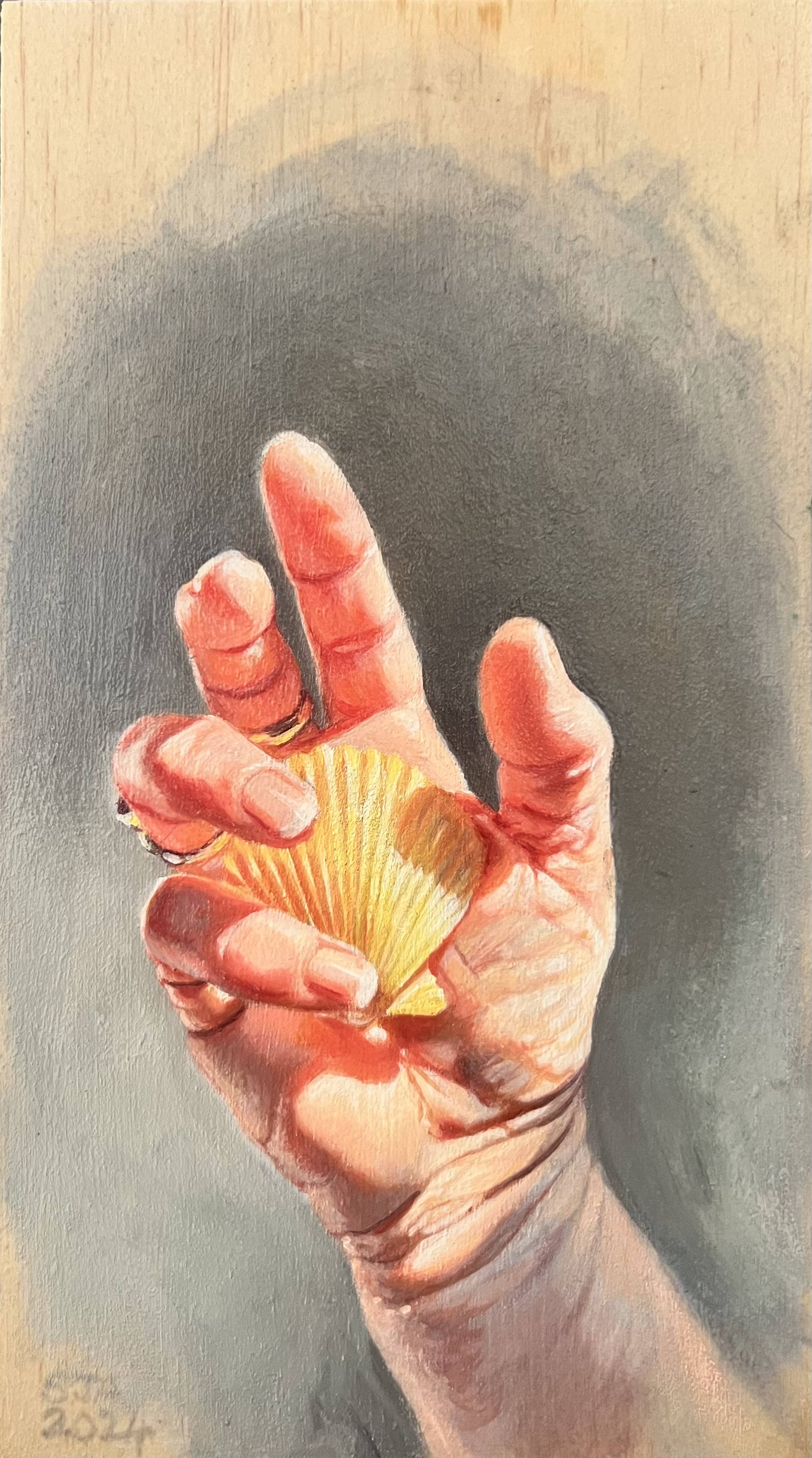 The shell