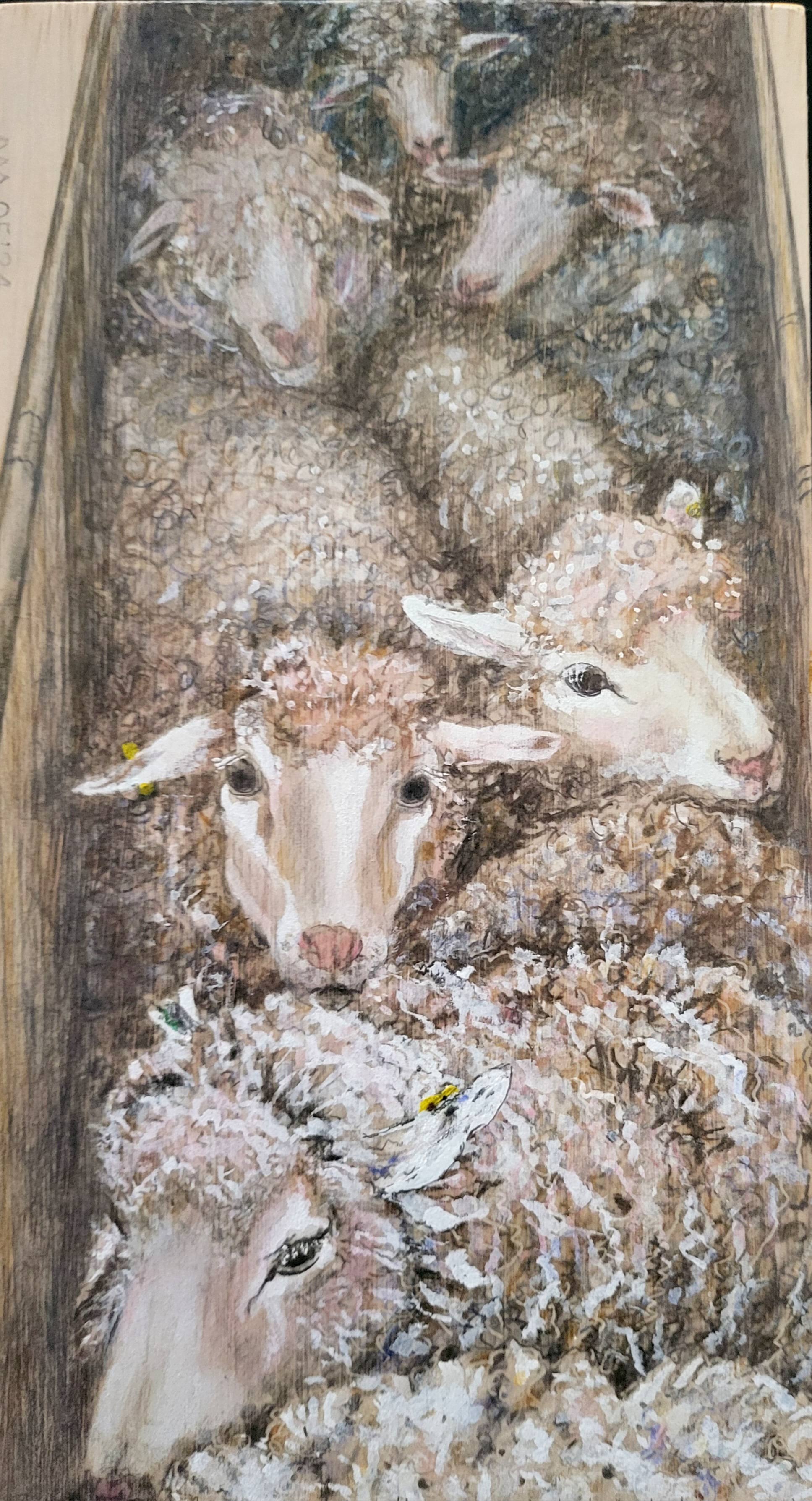 Shearing Line