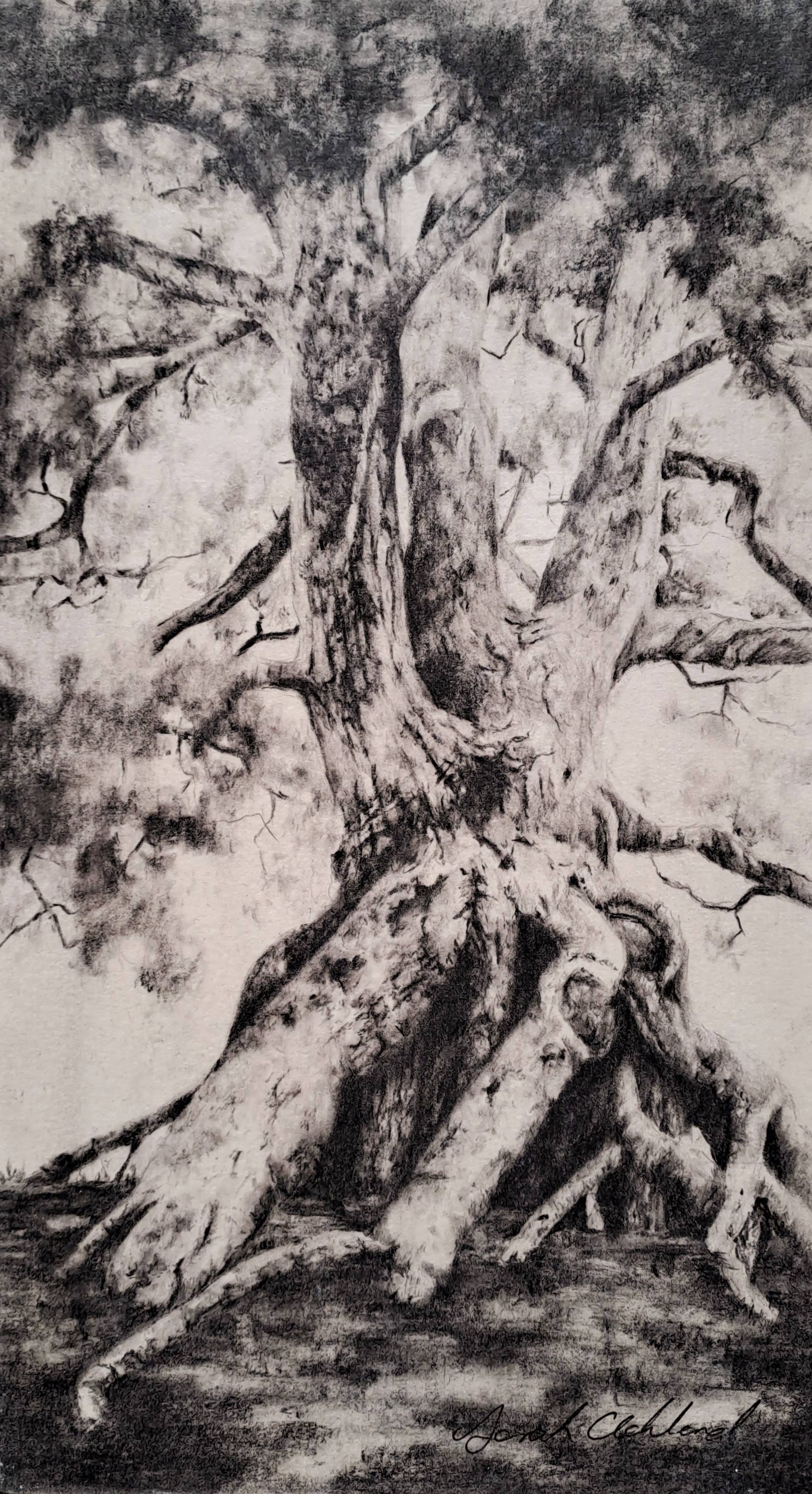 Tree Study