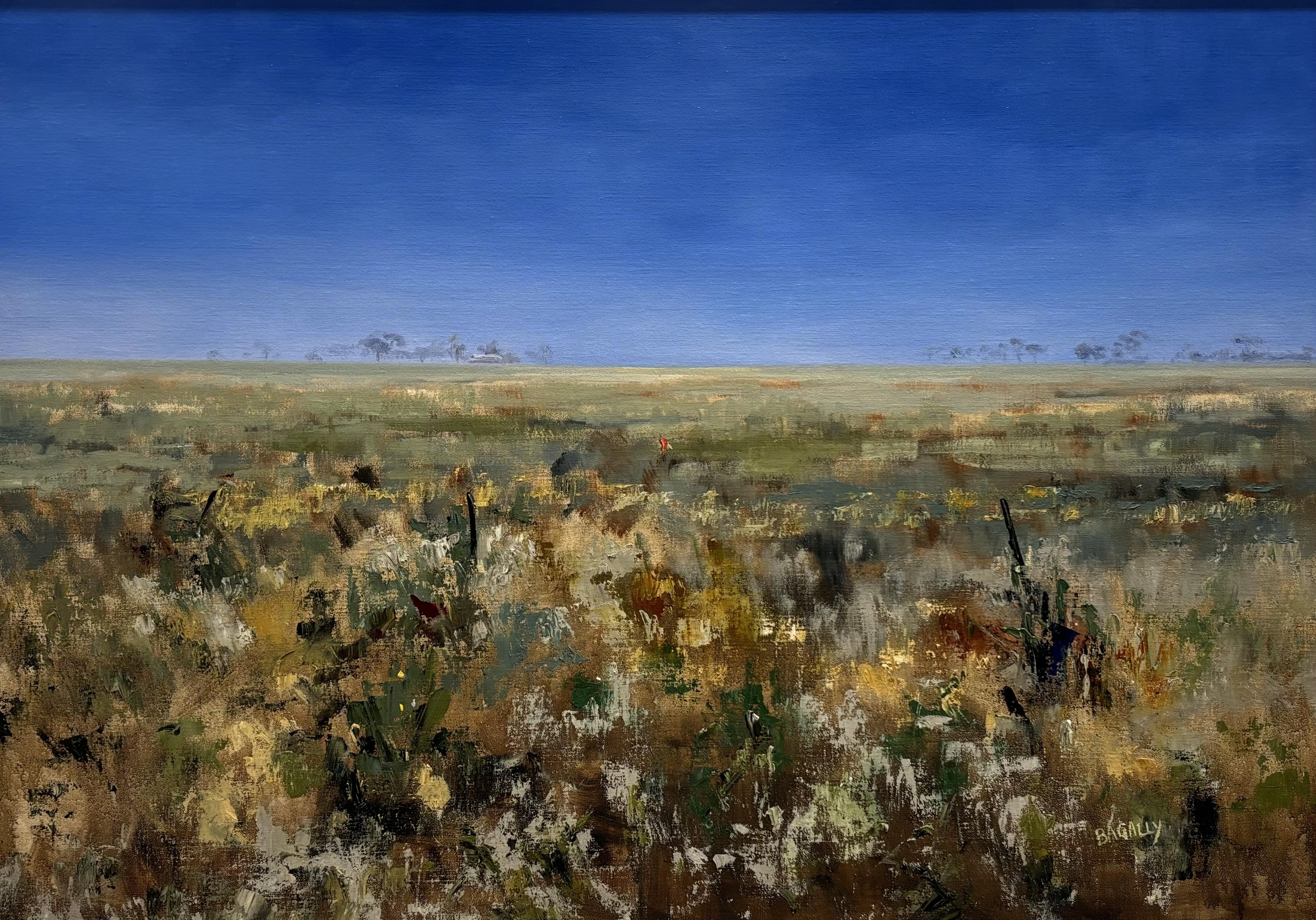 Aussie Landscape