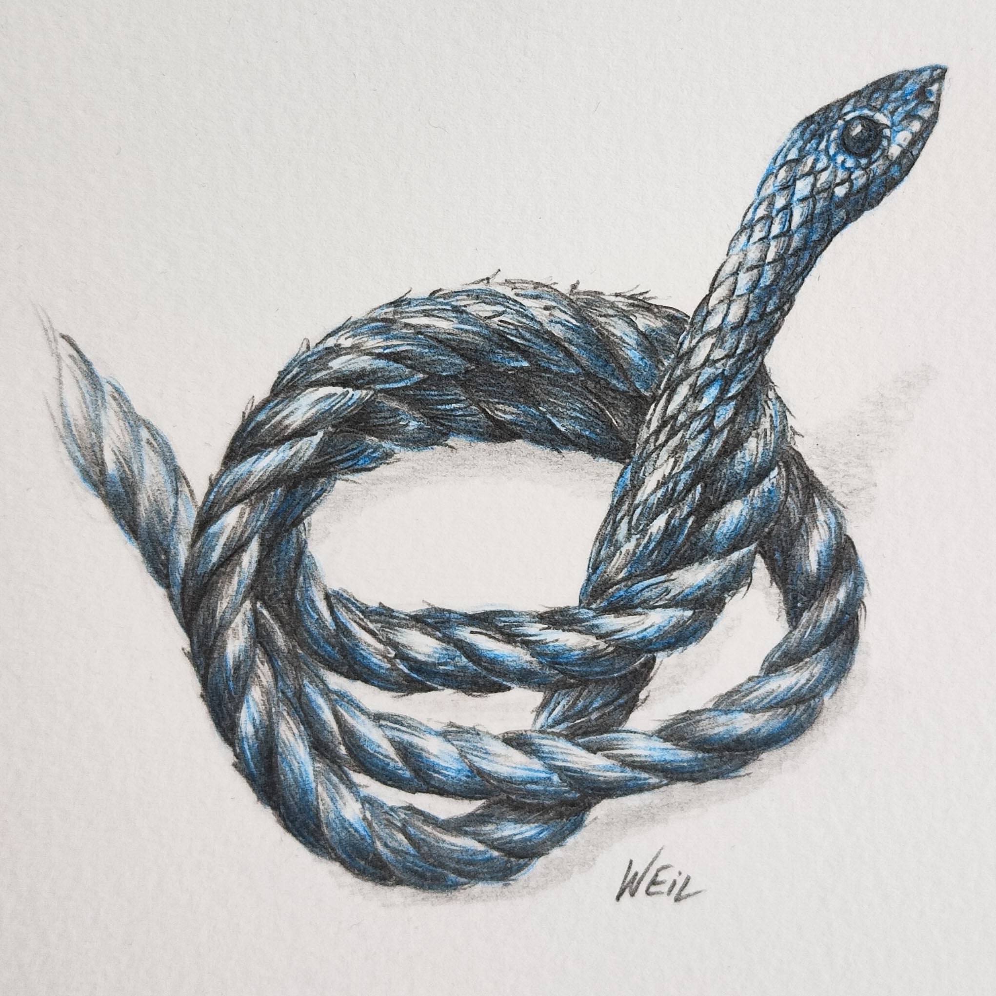 Rope Trick #2