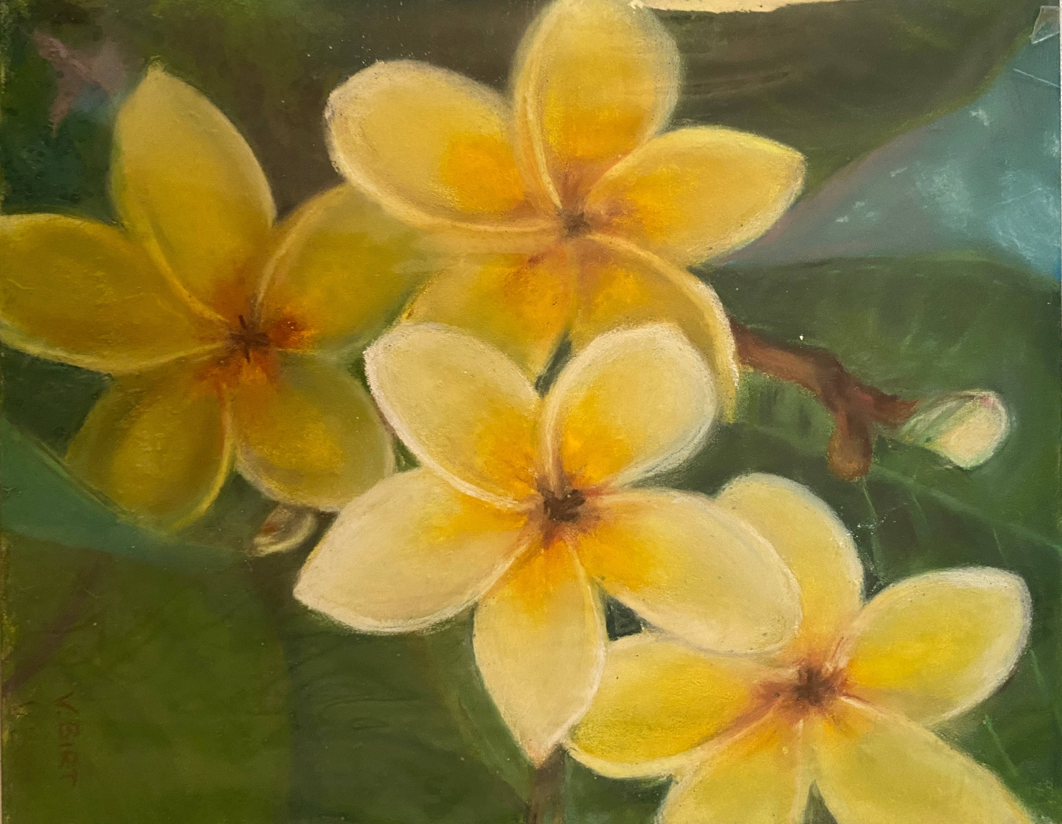 Spring Colours