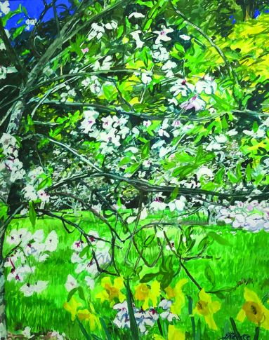 2_JOREITZE_RHODODENDRONGARDENS