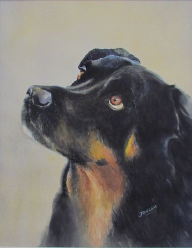 Jon%20Lam_New%20Tricks.%20%20Watercolour%2065x54%20-%20Copy