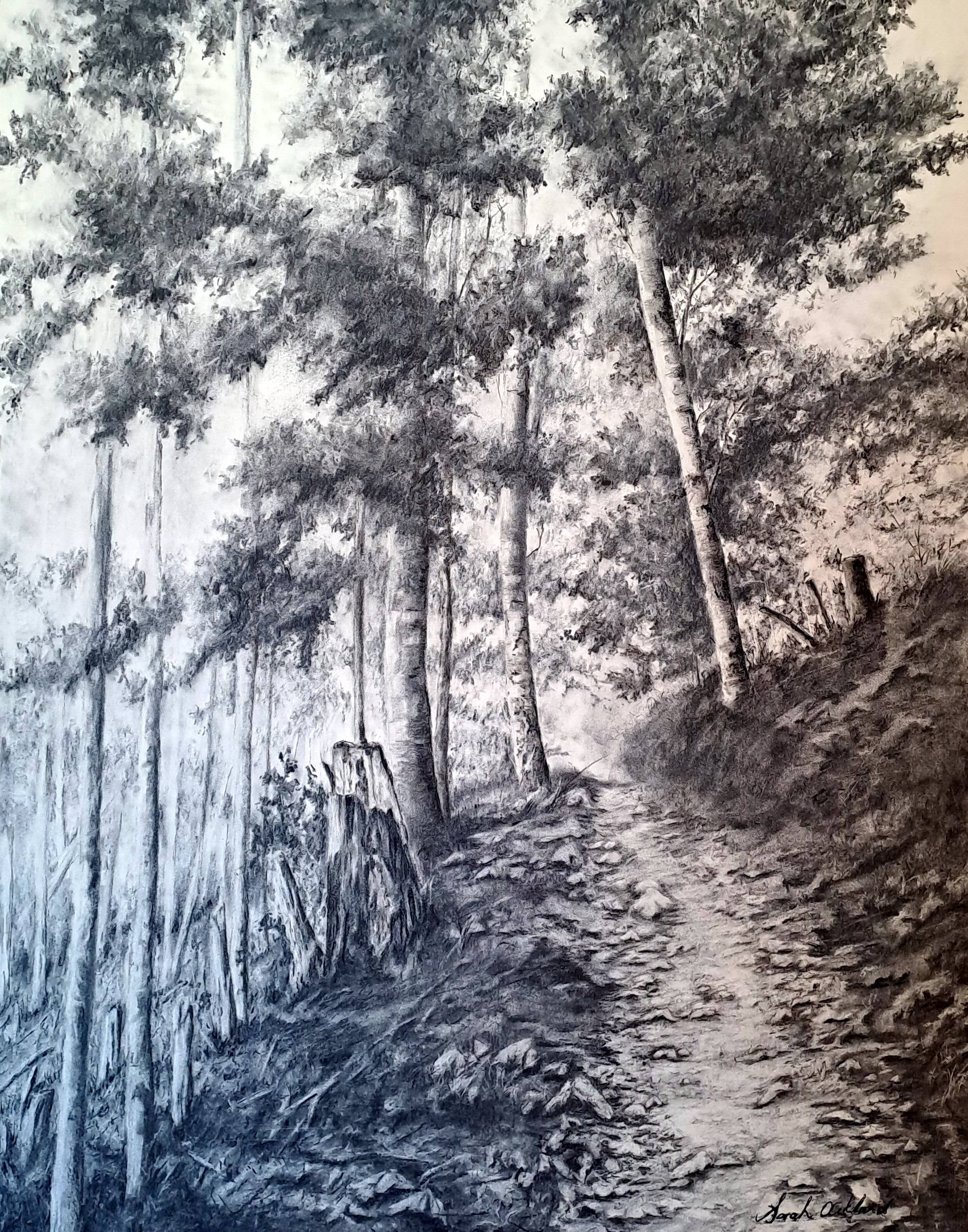 Rocky Path