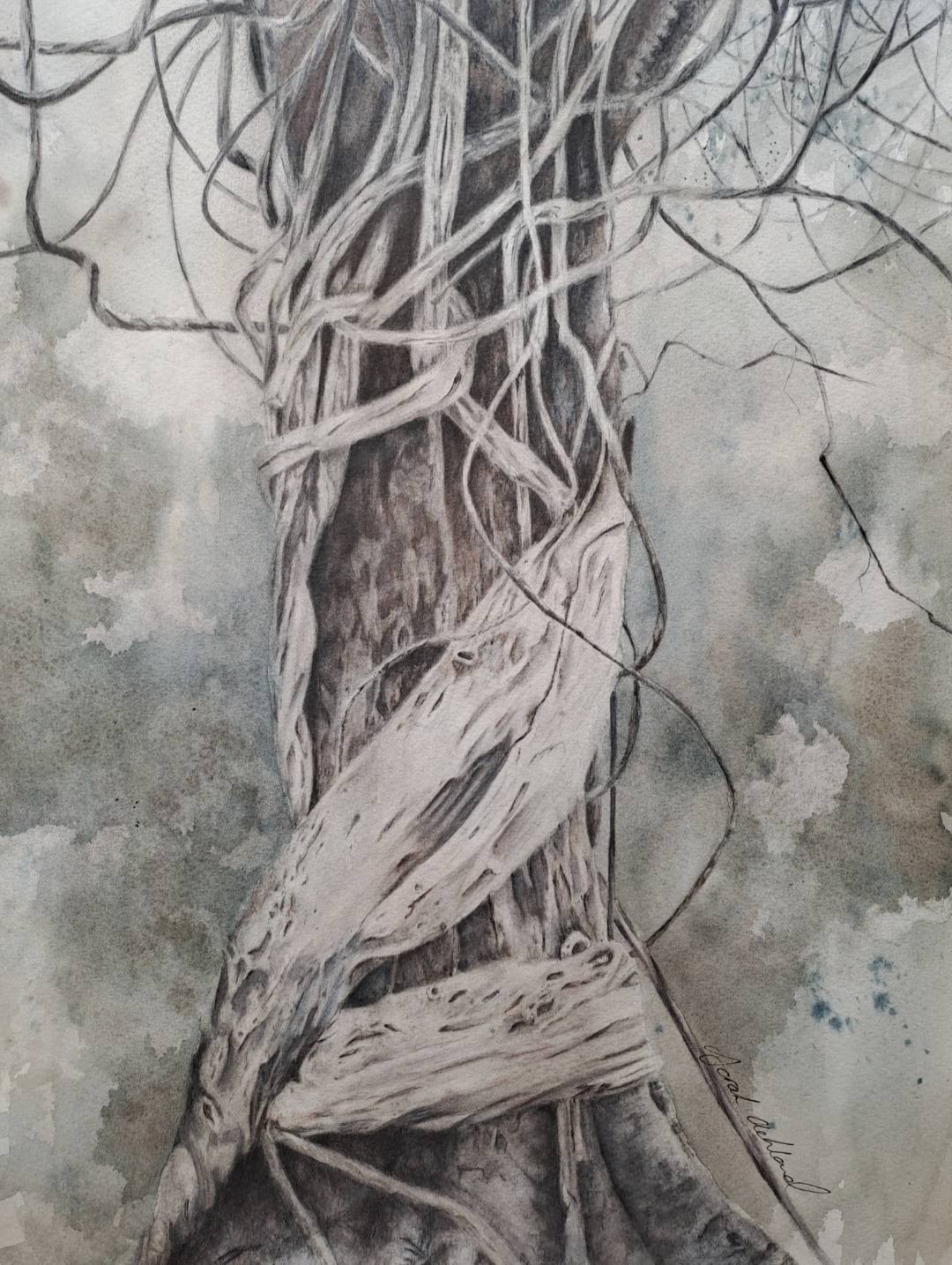 Tangled