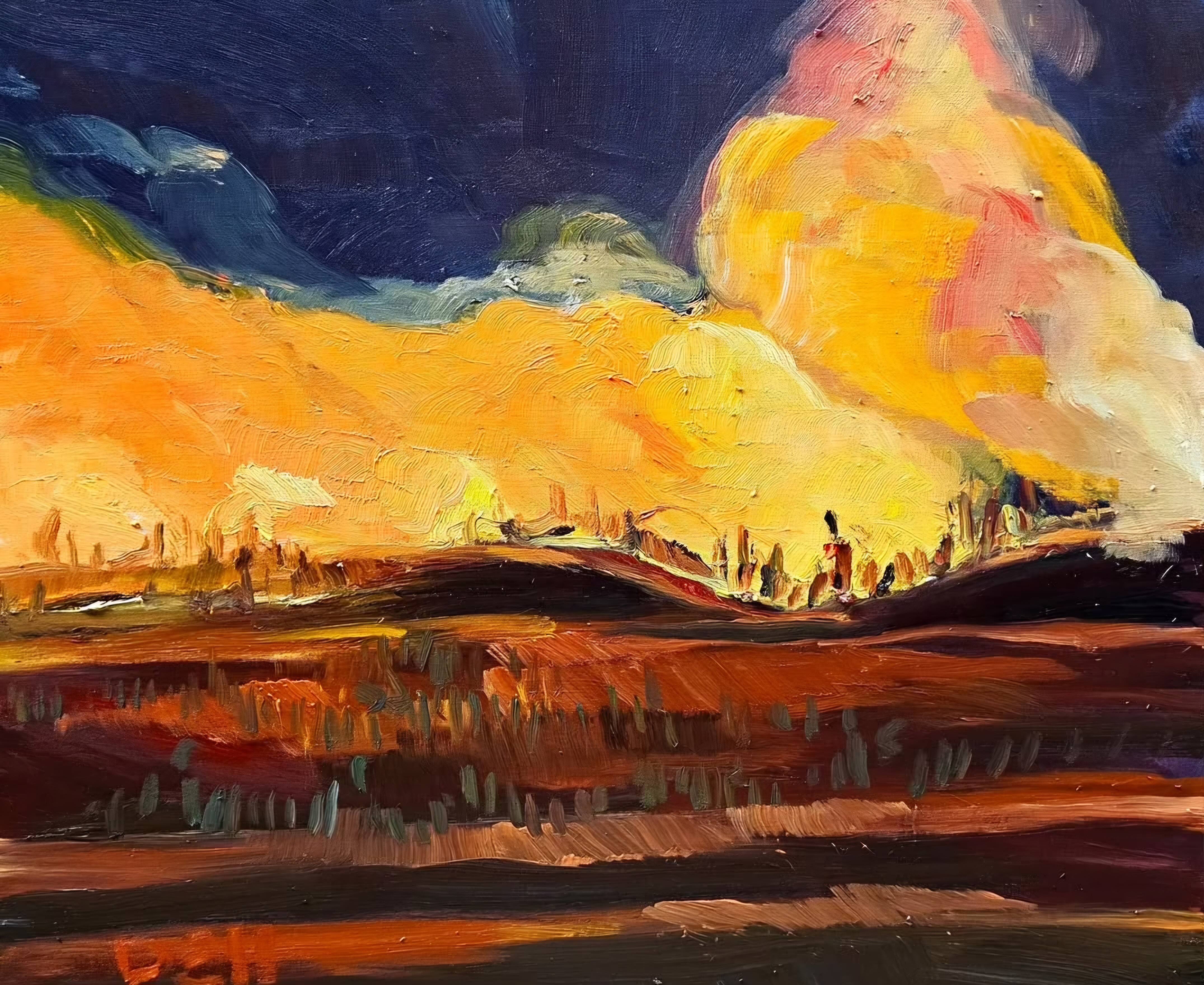 Night Fire Near Ruffy, Victoria