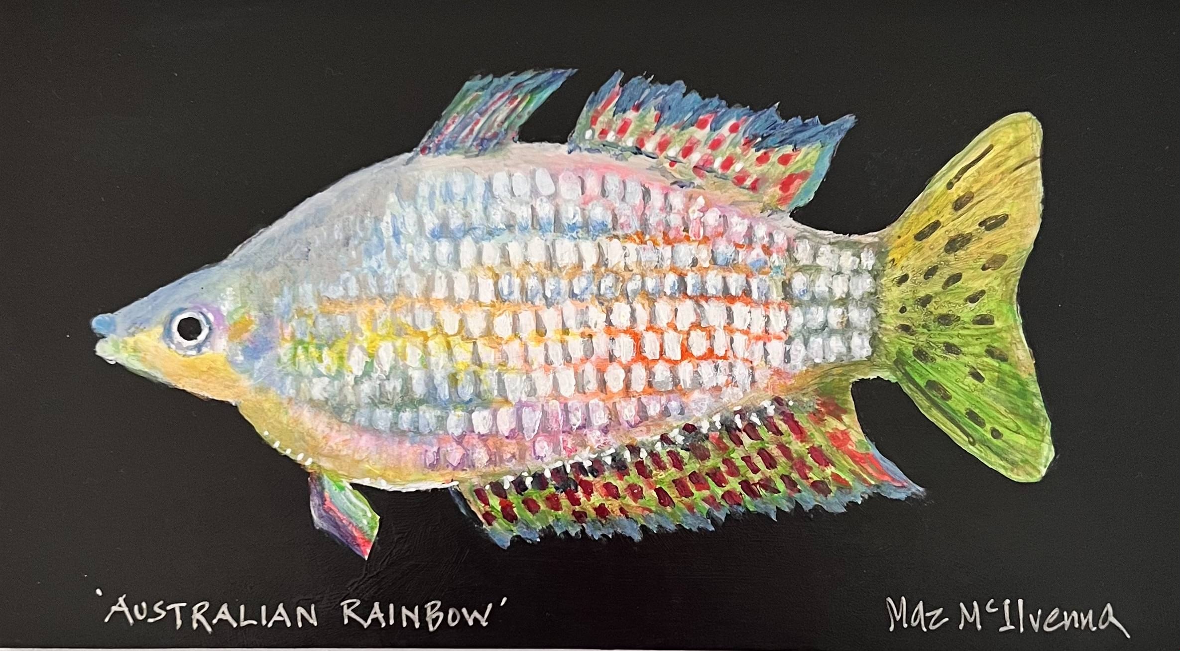 Murray-Darling Rainbow Fish