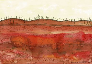 JOHNSTONE_Megan-Jane_Desert Oaks III, NT