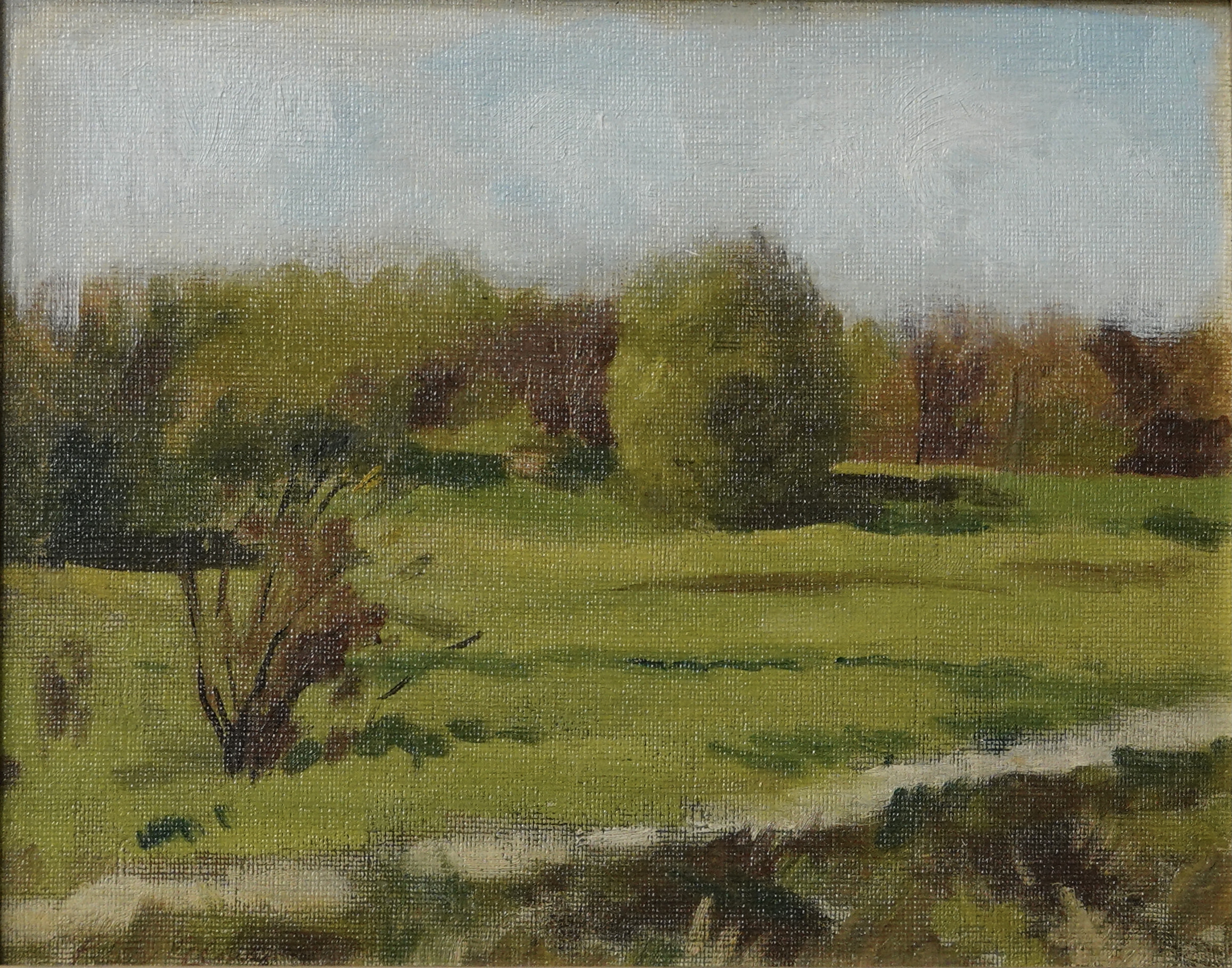 Landscape